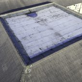 Drone Roof Surveys
