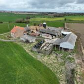 Drone Photography for Farm Sales